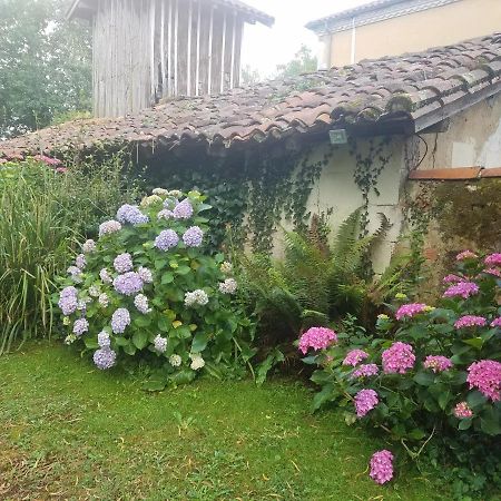 Gite Matilon, 5 Min Eugenie Les Bains Buanes Extérieur photo